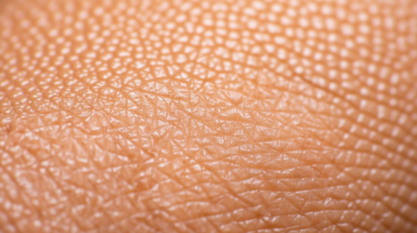 Gros plan sur la texture de la peau dans un article sur microbiote et peau